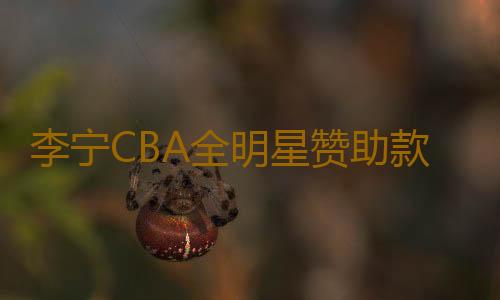 李宁CBA全明星赞助款中国李宁韦德厚实篮球袜毛巾袜