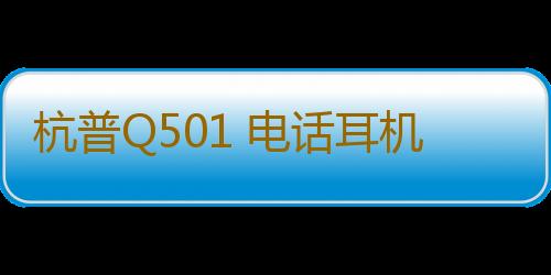 杭普Q501 电话耳机客服耳麦 话务员专用耳机 Type-C手机座机电脑台式带麦USB 电销外呼有线带话筒 降噪头戴式