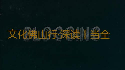 文化佛山行·深读丨当全国融媒体主编看佛山“西甲”时，看的是什么？