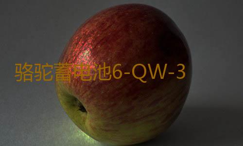 骆驼蓄电池6-QW-36适用于本田飞度哥瑞理念锋范汽车电瓶 以旧换新